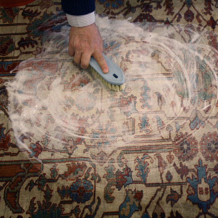 Rug Moth Prevention MD-DC-VA - Wool Rug Moth Protection